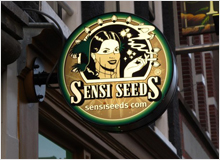 Sensi_Seeds_an_Amsterdam_Institution